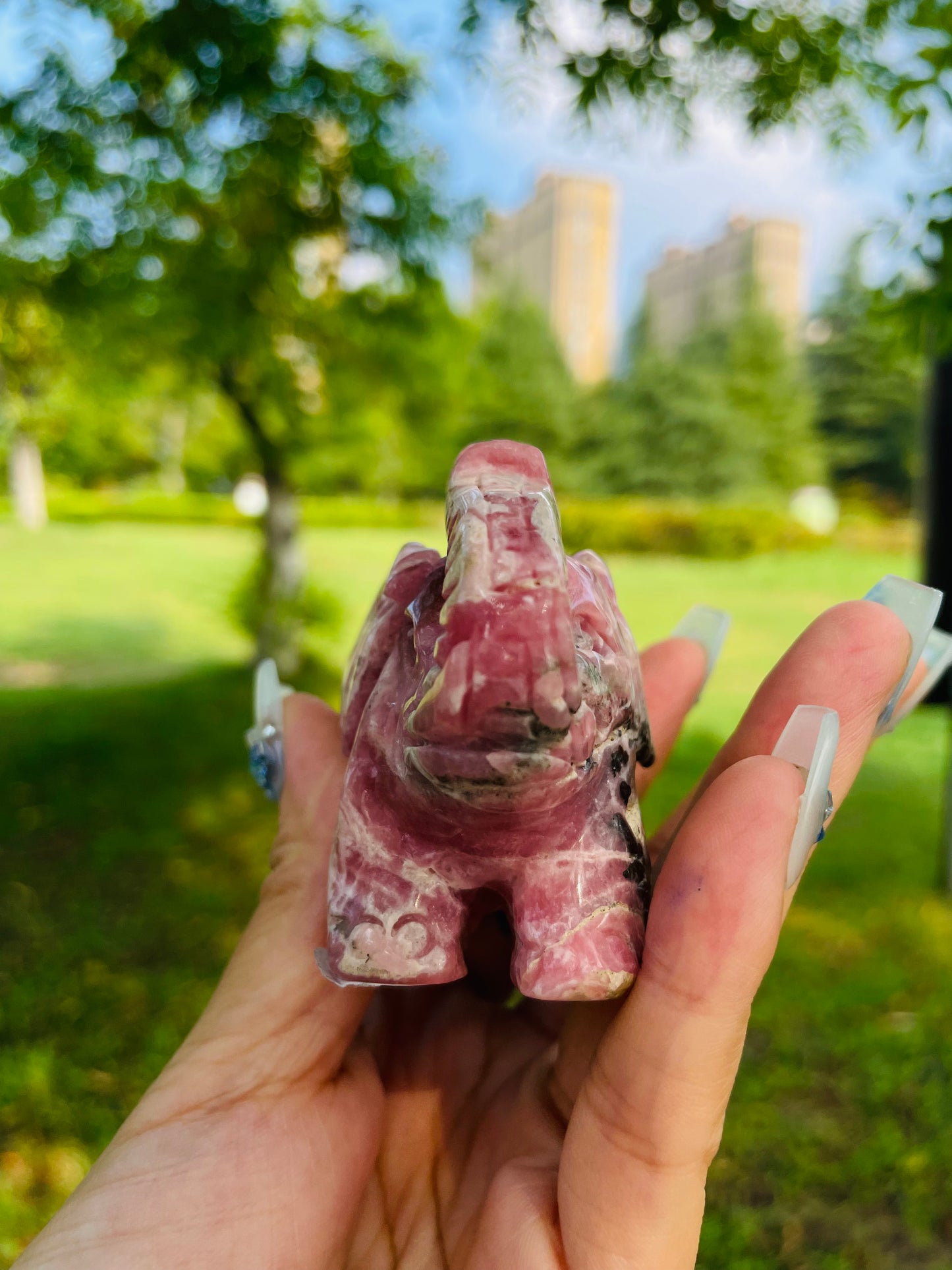 crystal---rhodochrosite elephant