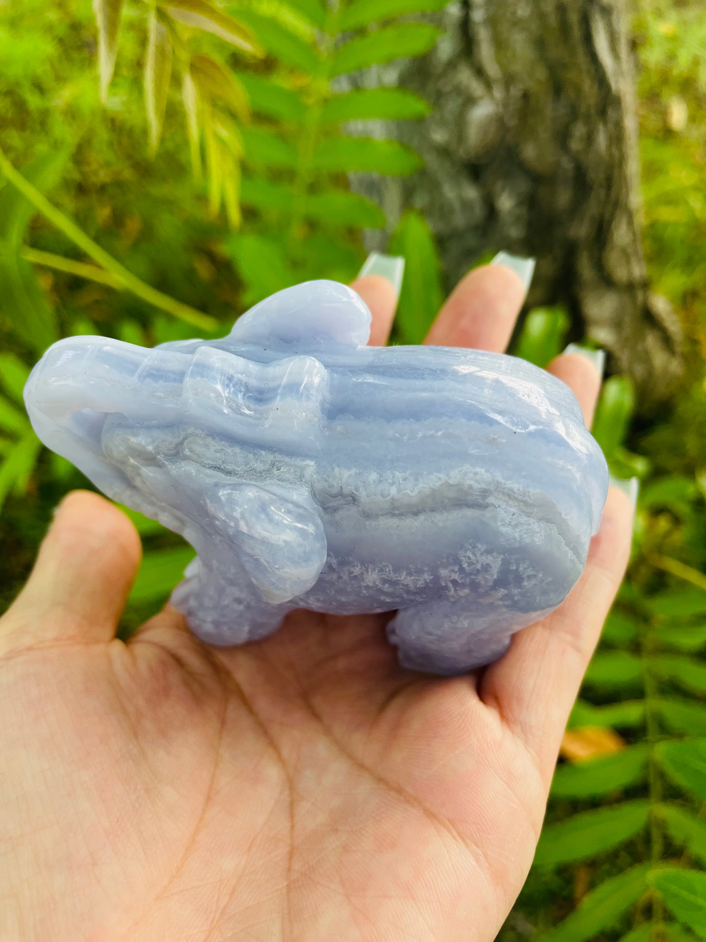 crystal---bluelace agate elephant