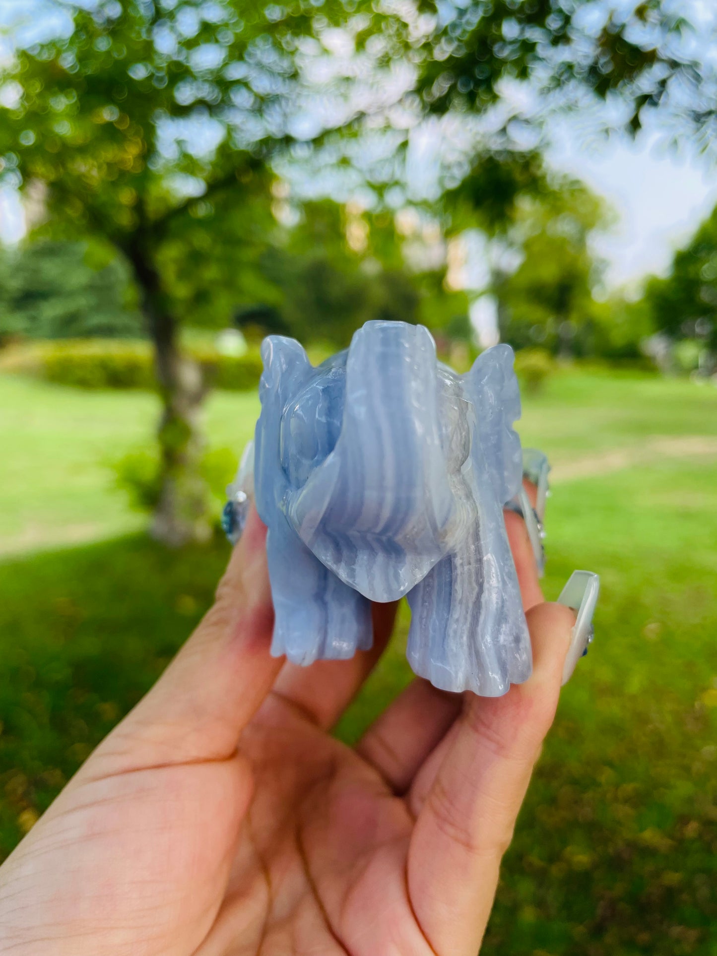 crystal---bluelace agate elephant