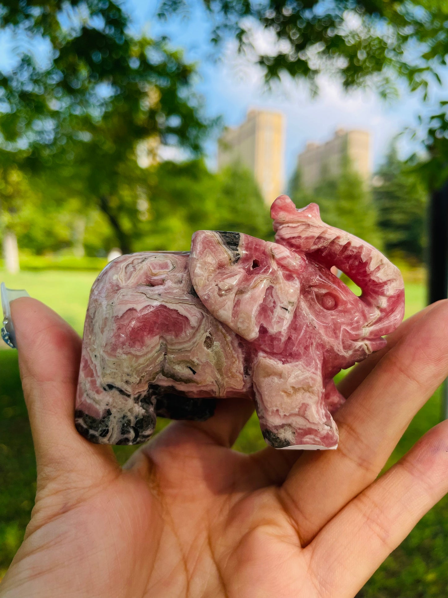 crystal---rhodochrosite  elephant