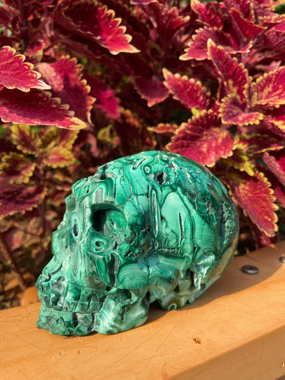 crystal---malachite druzy skull