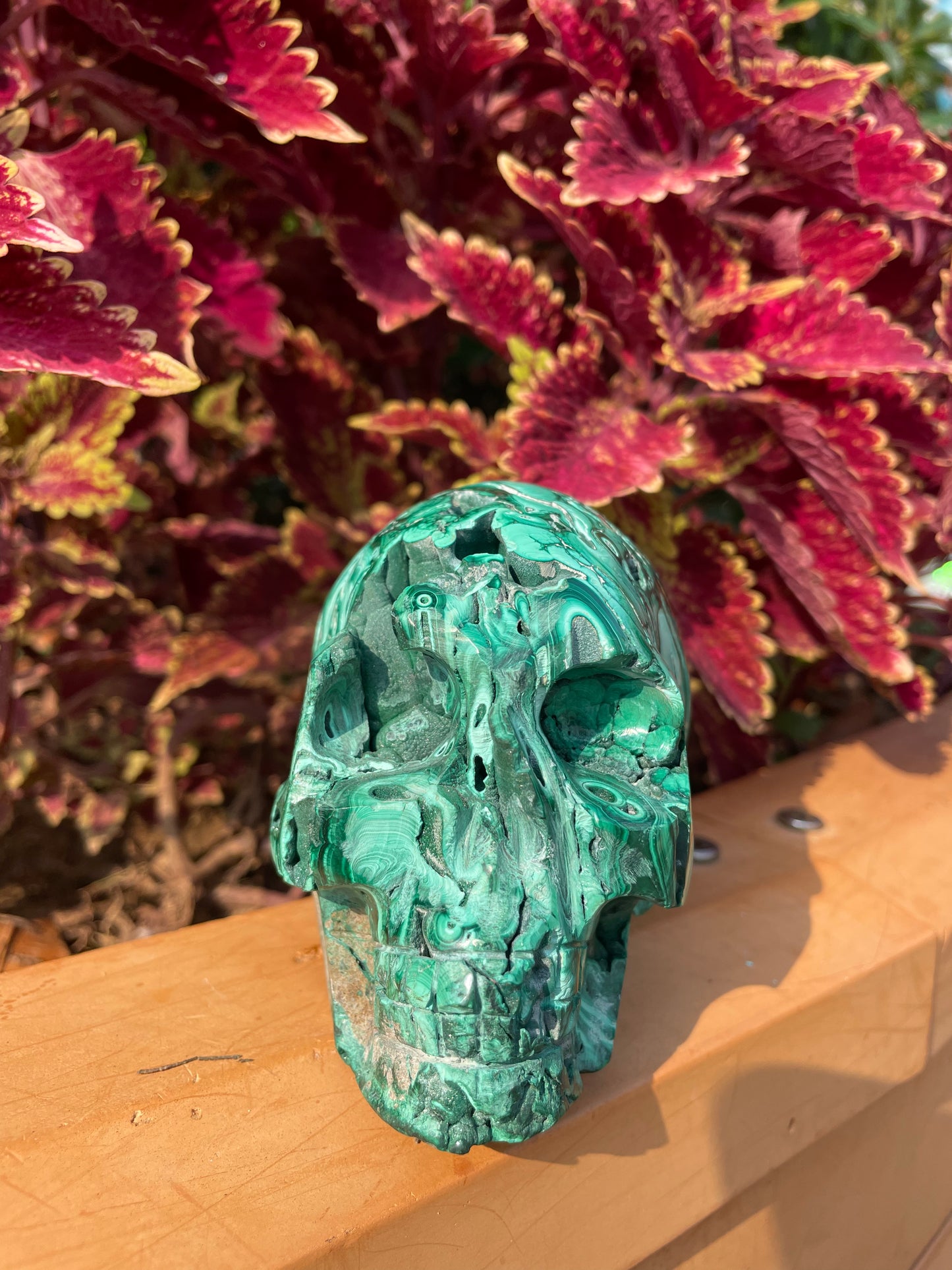 crystal---malachite druzy skull